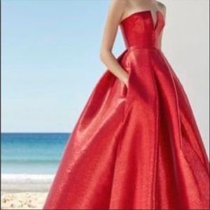 Authentic Alex Perry gown